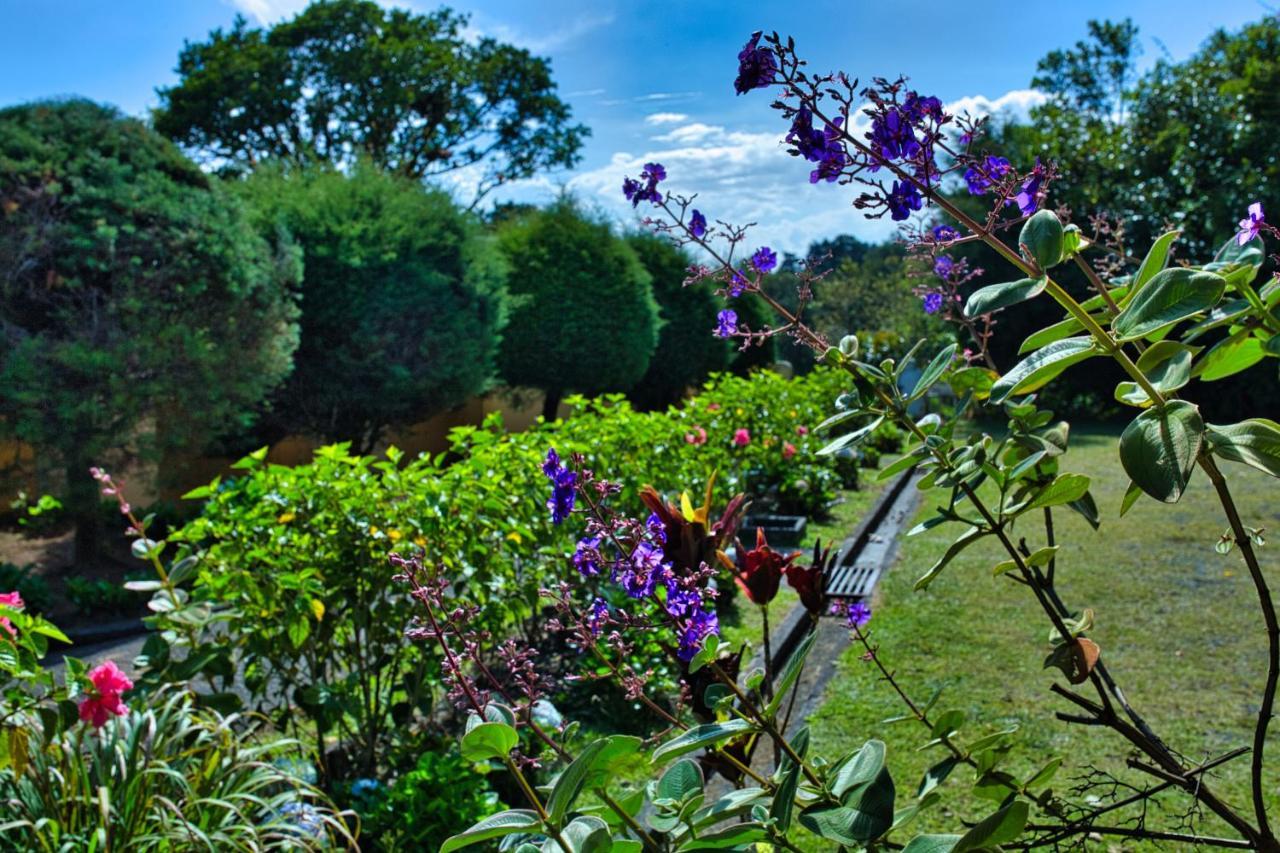 Hotel Villa Zurqui San Isidro  Luaran gambar