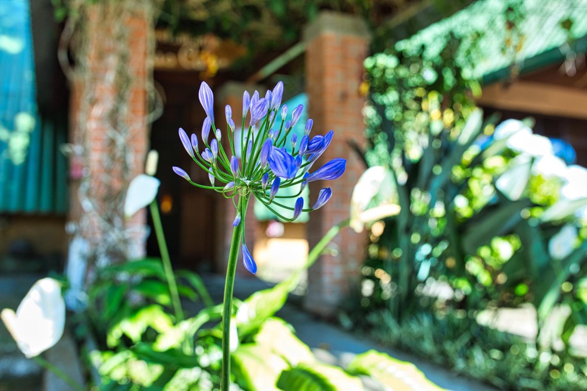 Hotel Villa Zurqui San Isidro  Luaran gambar